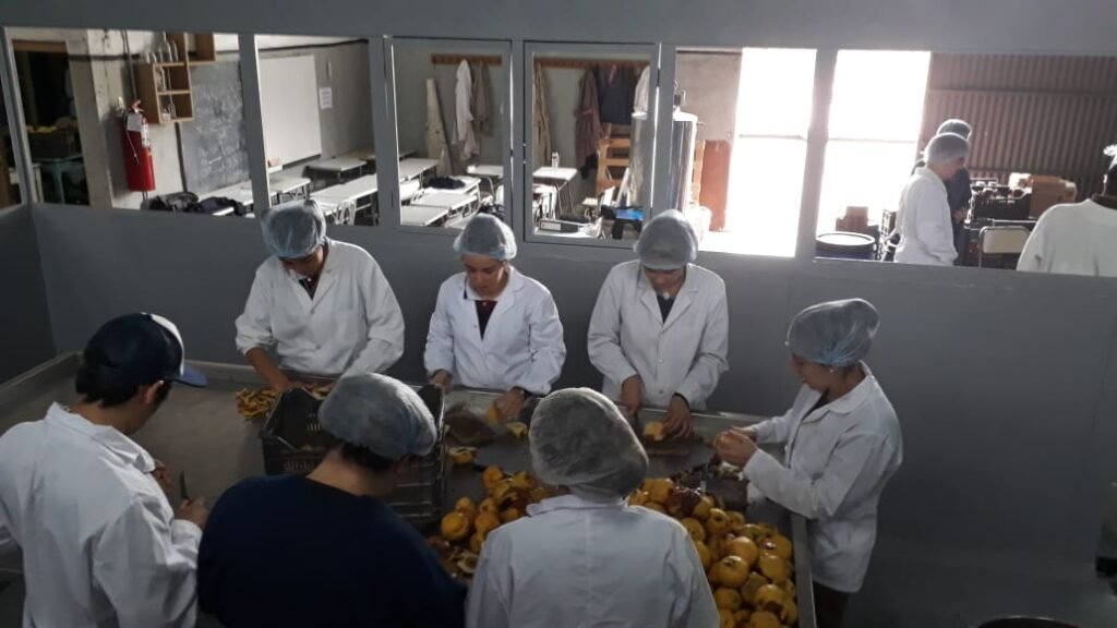 Aprender desde la práctica productiva